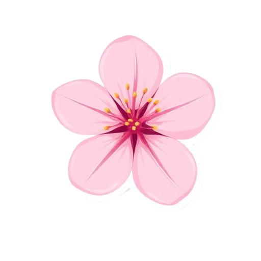 꽃